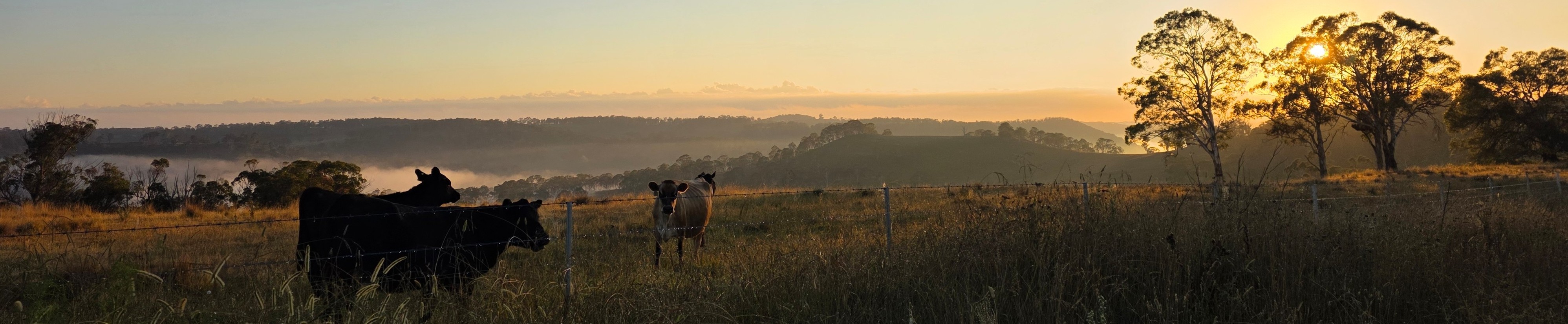 A building should know where it is